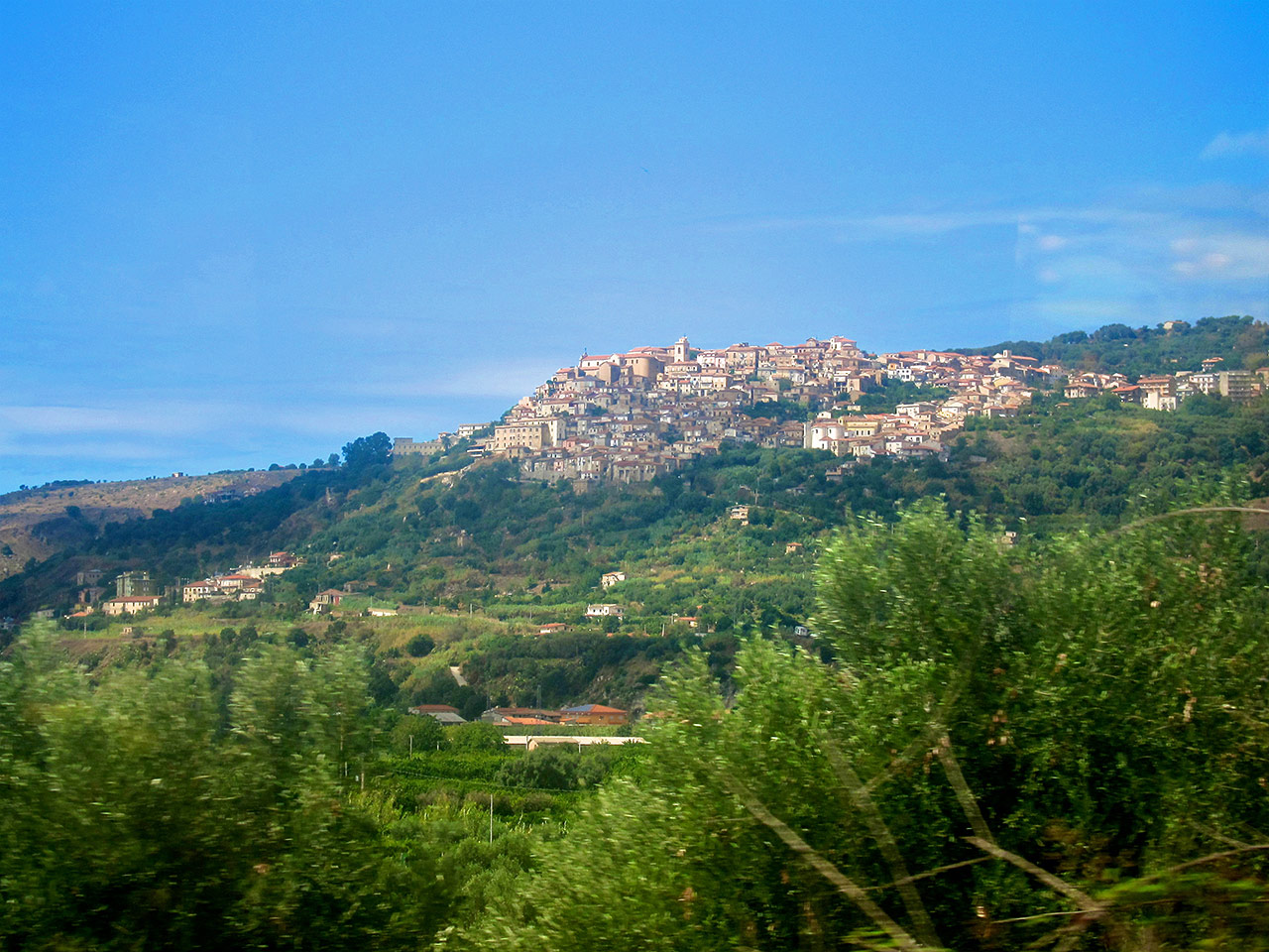Nicotera